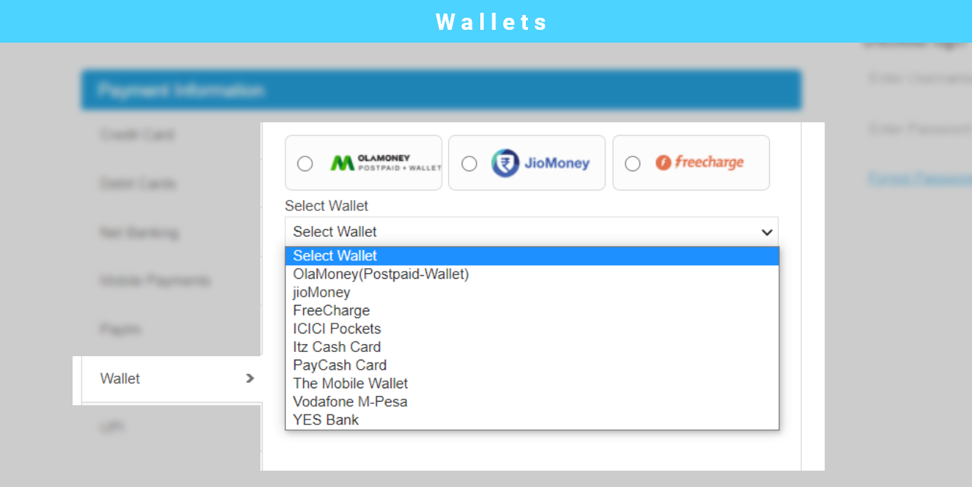 wallet